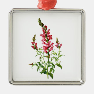Pink Snapdragon Gezeichnet aus der Natur Silbernes Ornament