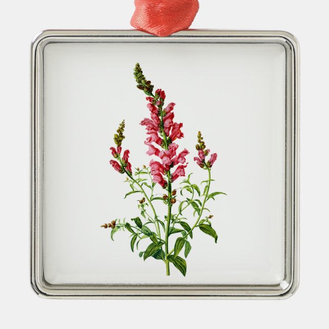 Pink Snapdragon Gezeichnet aus der Natur Silbernes Ornament (Vorne)