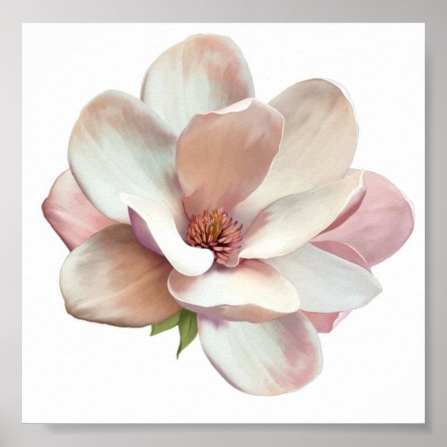 Pink Southern Magnolia Poster (Vorne)