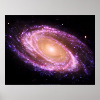 Pink Spiral Galaxy Grosses Poster