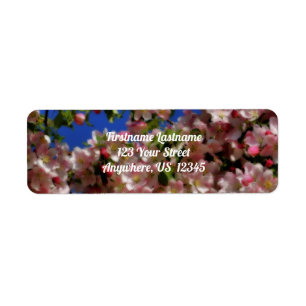 Pink Spring Blossom Blue Sky Orton Effect Address