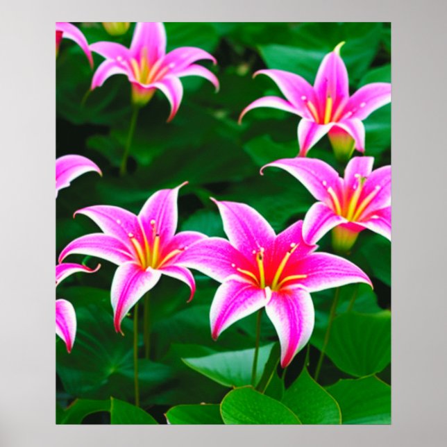 Pink Stargazer Lilies AI Art Poster (Vorne)