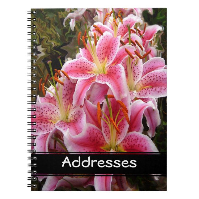 Pink Stargazer Lilies Notizblock (Vorderseite)