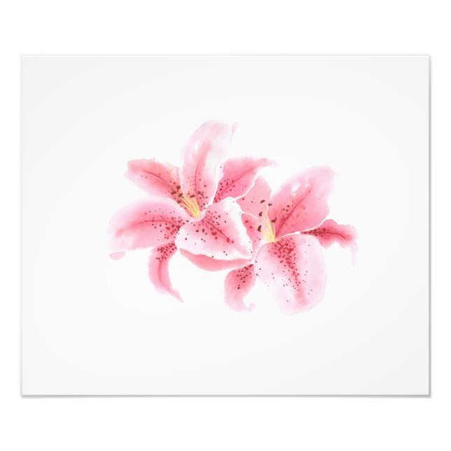 Pink Stargazer Lilies Watercolor Fotodruck (Vorne)