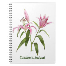 Pink Stargazer Lily