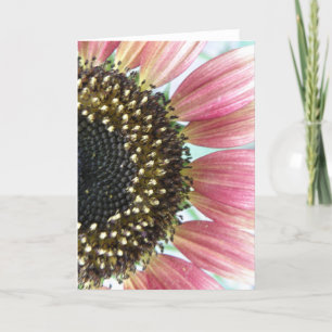 Pink Sunflower Grußkarte Karte