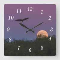 Pink Supermoon Adleruhr