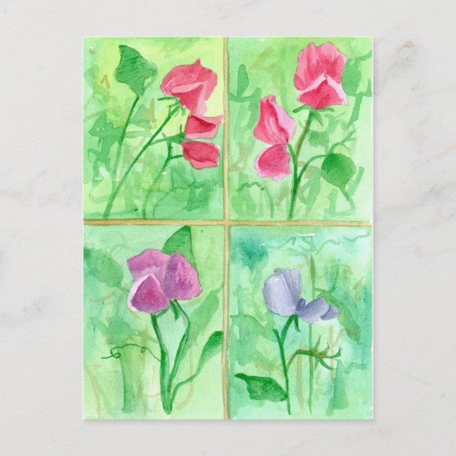Pink Sweet Pea Blume Aquarellmalerei Postkarte (Vorderseite)
