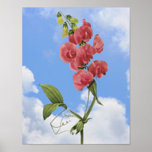 Pink Sweet Pee Floral Art Poster