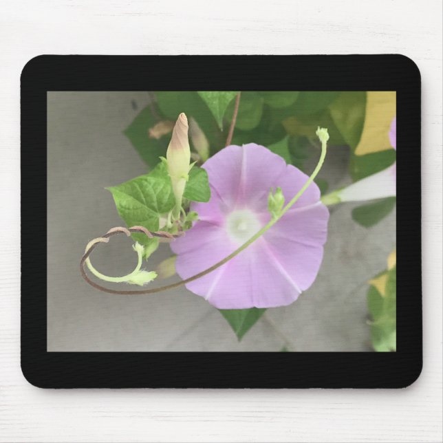 Pink Symphony Morning Glory  Mousepad (Vorne)