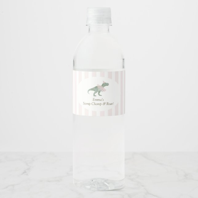 Pink T Rex Tutu Girl Birthday Water Bottle Labels Wasserflaschenetikett (Vorderseite)