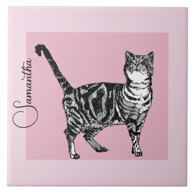 Pink Tabby Cat Cats Pastel Pink Girls Name Fliese (Vorderseite)