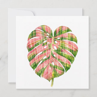 Pink Tartan Scottish Monstera Watercolour Botanic