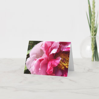 Pink Tree Peony Notecard Karte