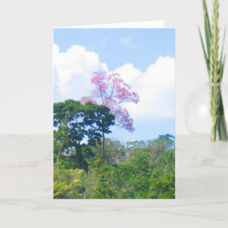 Pink Tree Venezuela Jungle Landschaft Karte