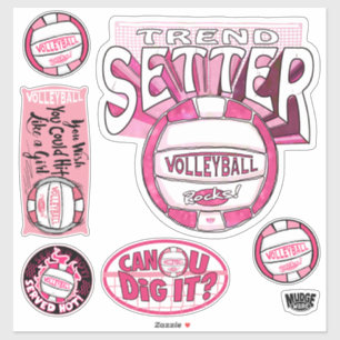 Pink Trend Setter Volleyball Aufkleber