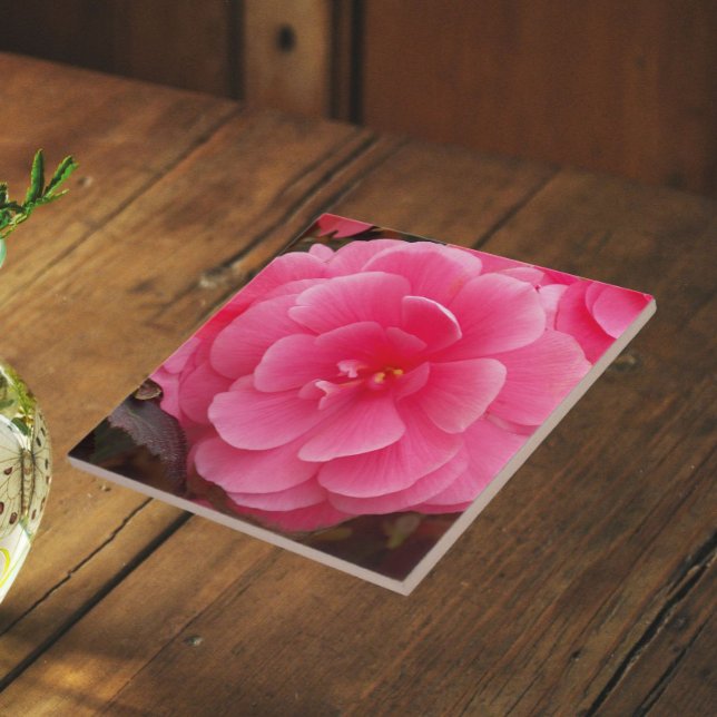 Pink Tuberous Begonia Floral Fliese (In Situ)