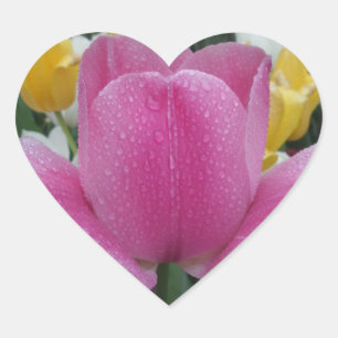 Pink Tulip Blume Heart Sticker