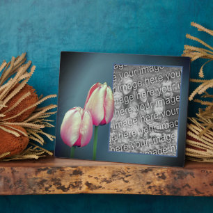 Pink Tulip Blume hinzufügen Ihr eigenes Foto Fotoplatte