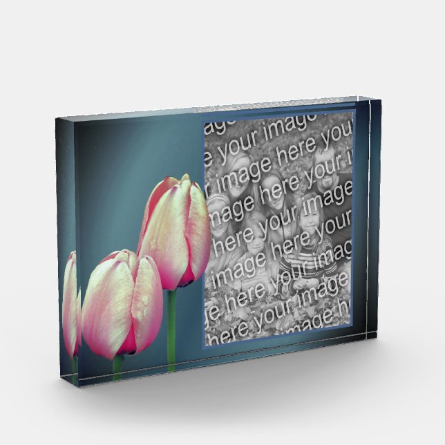Pink Tulip Blume Ihre eigenen Fotoblock (Links)