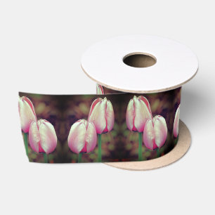 Pink-Tulip-Blume mit Regentropfen Satinband