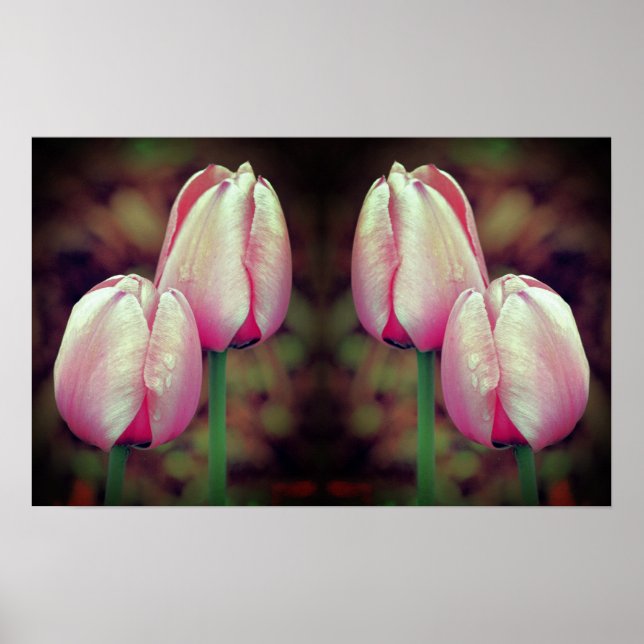 Pink Tulip Blume Raindrops Mirrored Abstrakt Poster (Vorne)