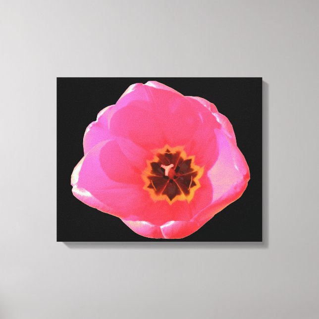 Pink Tulip Canvas Print Leinwanddruck (Vorderseite)