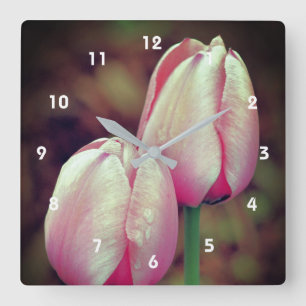 Pink Tulip Flowers With Raindrops   Quadratische Wanduhr
