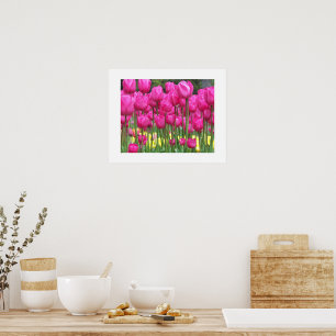 Pink Tulip Garden Floral Fotografie Poster