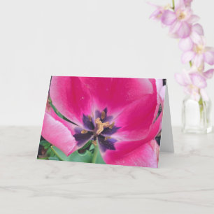 Pink Tulip Grußkarte Karte