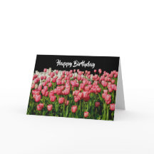 Pink Tulip Happy Birthday