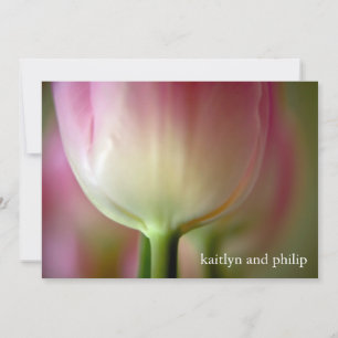 Pink Tulip ・ Hochzeitseinladung Einladung