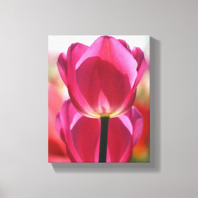 Pink Tulip Leinwand (Vorderseite)