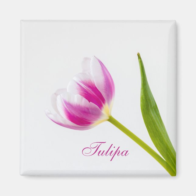 Pink Tulip Magnet (Vorne)