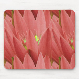 Pink Tulip Mousepad