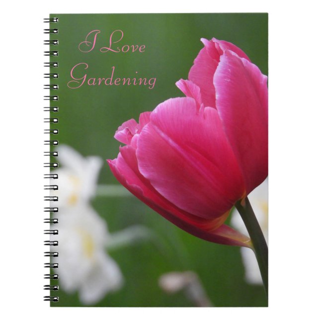 Pink Tulip Notizblock (Vorderseite)