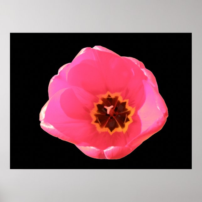 Pink Tulip Print Poster (Vorne)