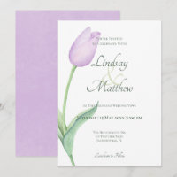 Pink Tulip Solo Lila modern