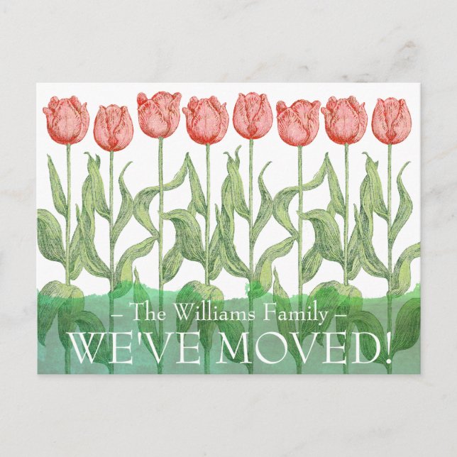 Pink Tulip Spring Blume Floral Moving Postkarte (Vorderseite)