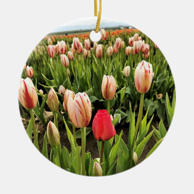 Pink Tulip Stehend Out Keramik Ornament (Vorne)
