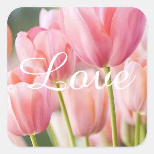 Pink Tulip Stickers und Umschlag Aufkleber