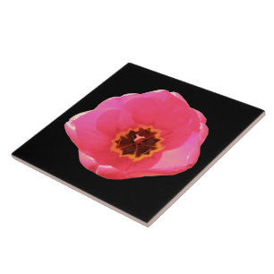 Pink Tulip Tile Fliese