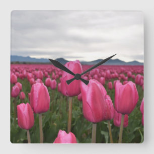 Pink Tulips Blume Akryllische Wall Clock Quadratische Wanduhr