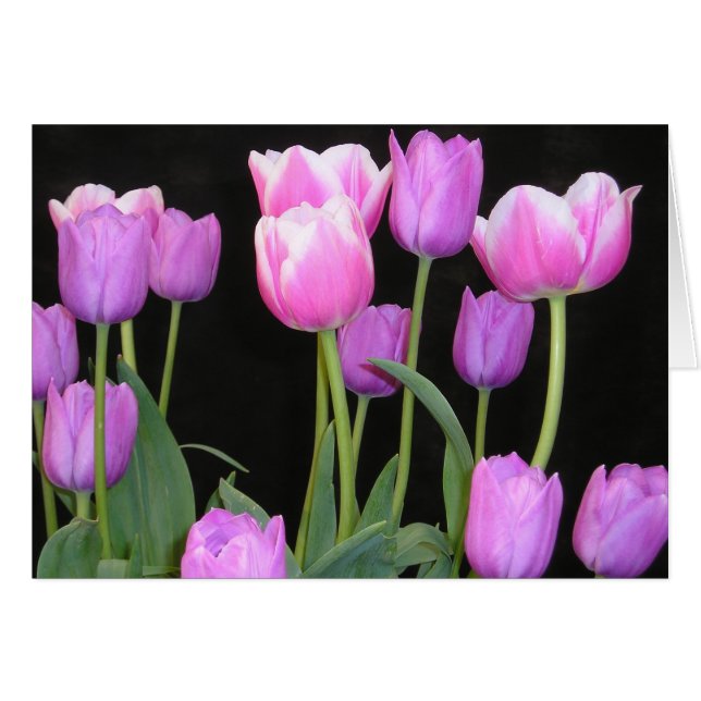 Pink Tulips Card (Vorderseite (Horizontal))