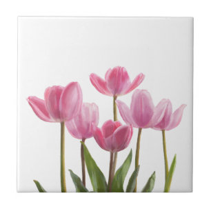 Pink Tulips Fliese