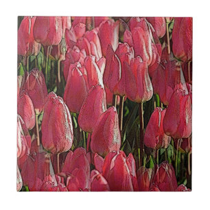 Pink Tulips Floral Fliese