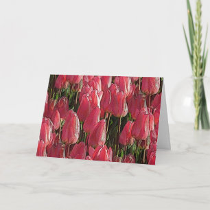 Pink Tulips Floral Karte