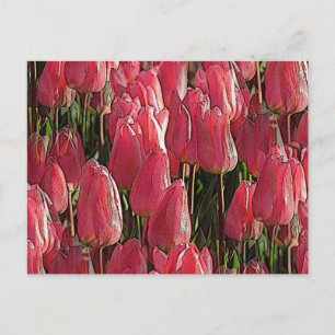Pink Tulips Floral Postkarte