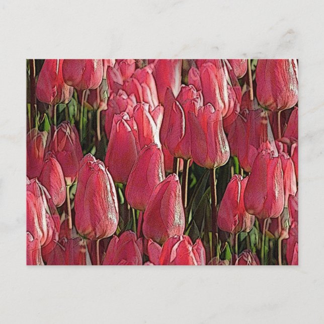Pink Tulips Floral Postkarte (Vorderseite)