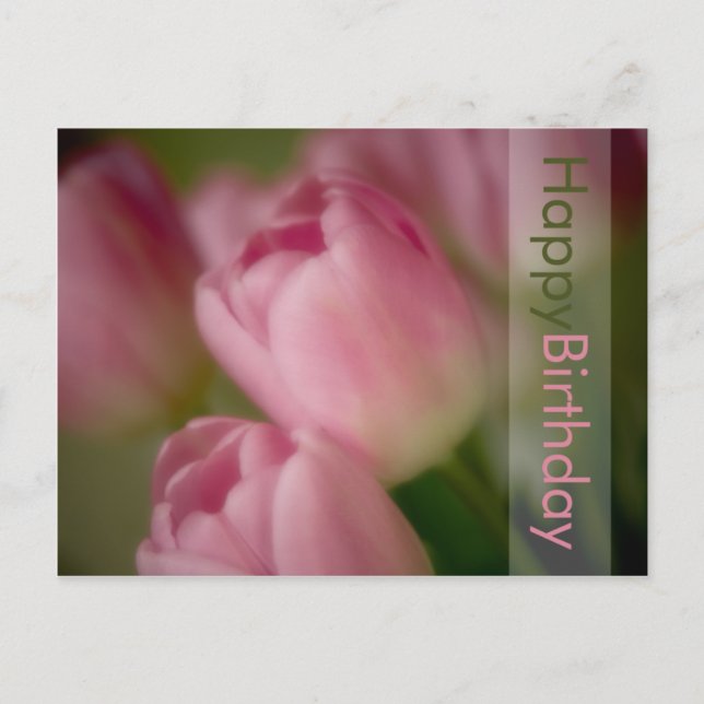 Pink Tulips Geburtstagskarte Postkarte (Vorderseite)